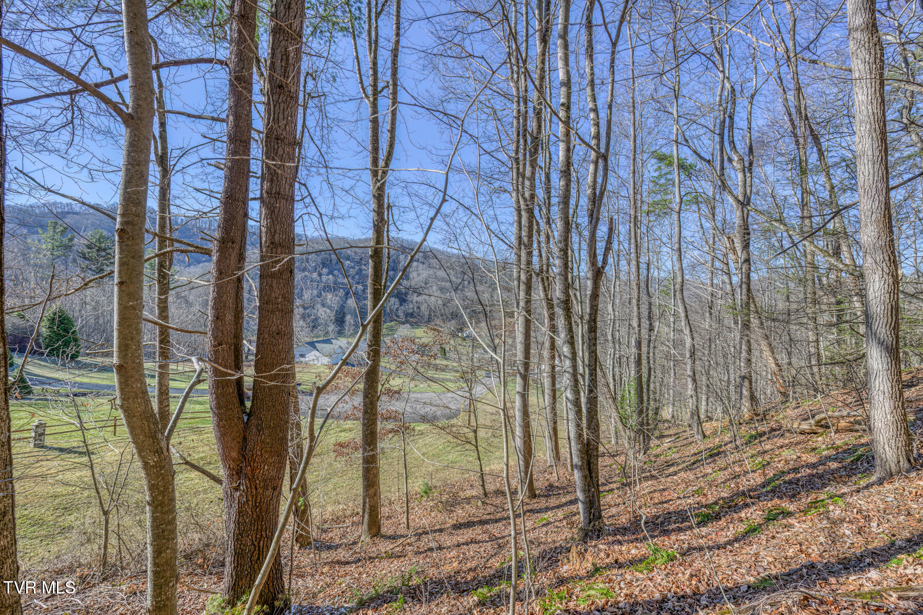 117 Buckner Drive, Roan Mountain, Tennessee image 7