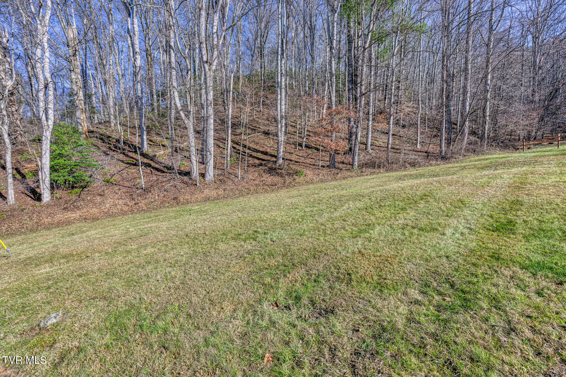 117 Buckner Drive, Roan Mountain, Tennessee image 1