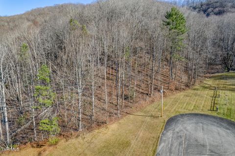 Vacant Land For Sale - 117 Buckner Drive<br/> Roan Mountain, TN 37687