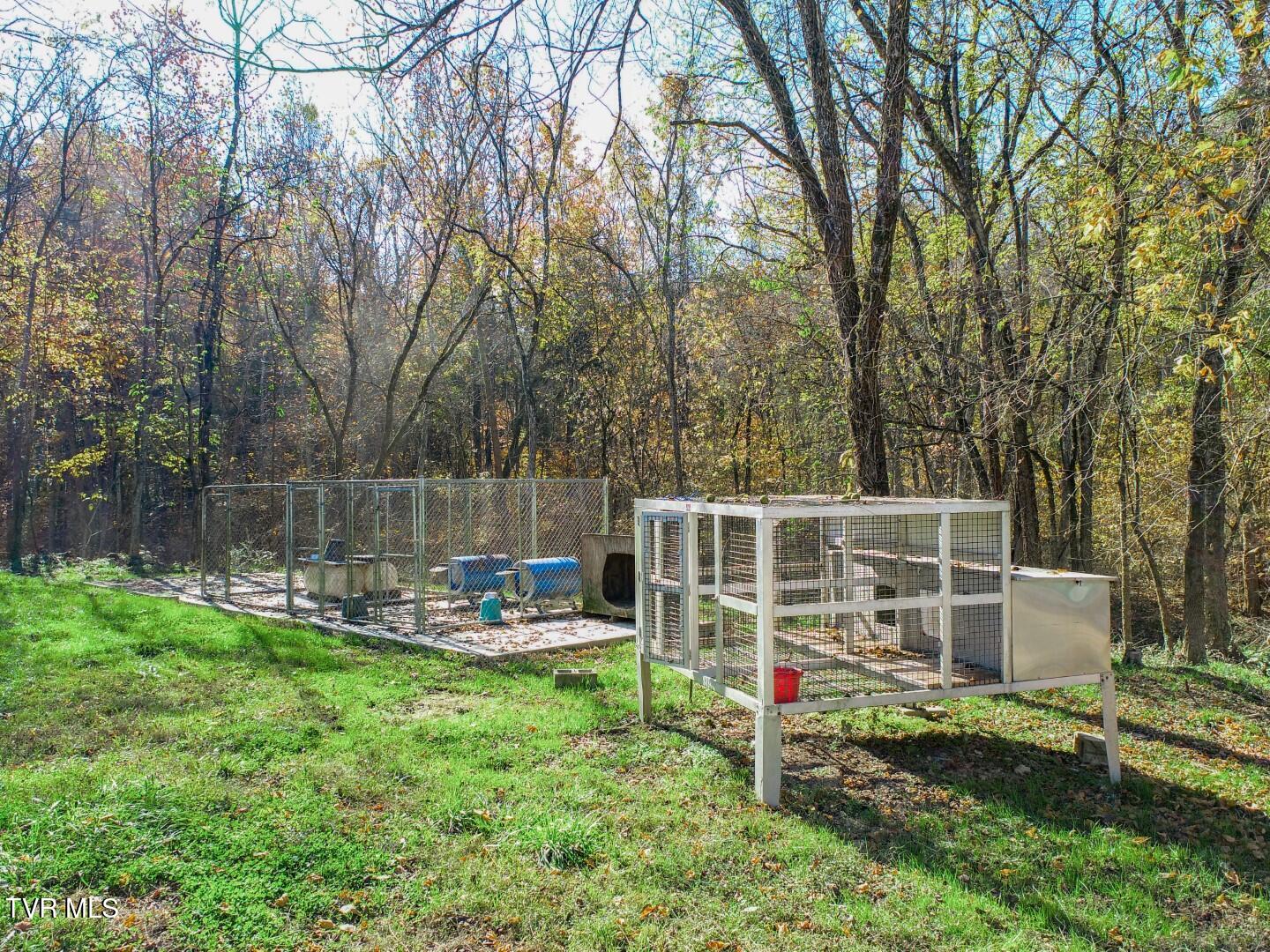 1125 Old Solomon Ferry Rd Rd, Newport, Tennessee image 49