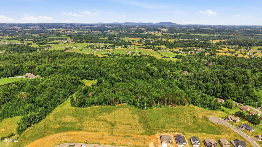 Photo of 572 Catalina Court, Jonesborough, TN 37659 (MLS # 9981969)