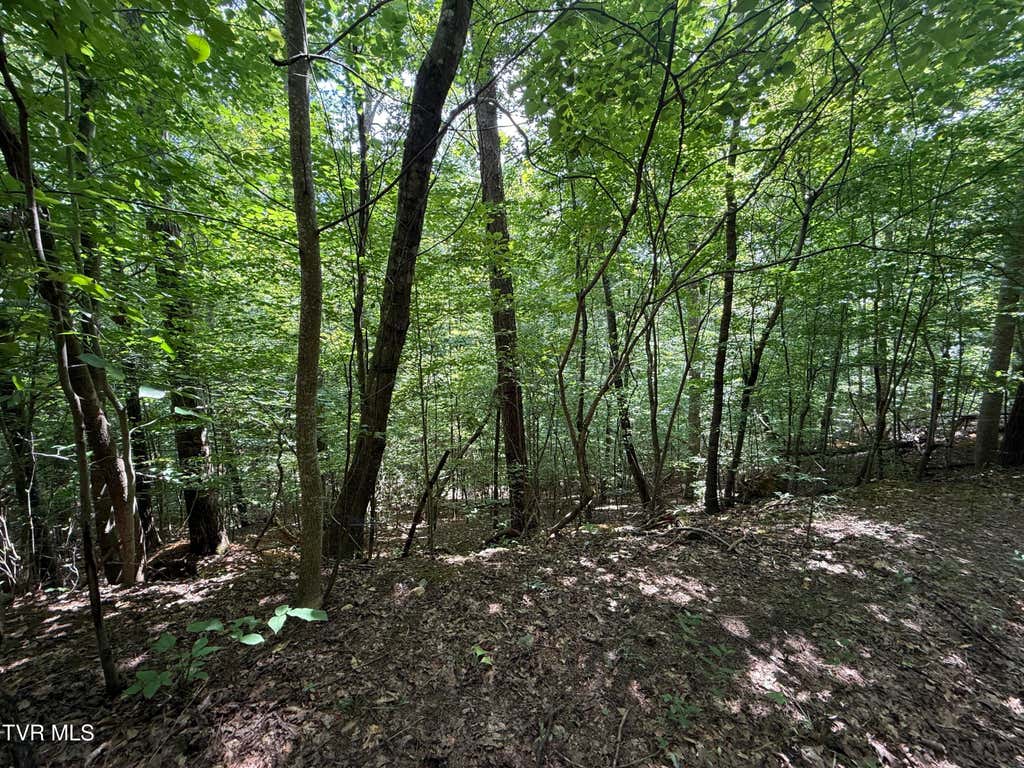 Photo of Tbd Mossy Hollow Road, Baneberry, TN 37890 (MLS # 9999349)