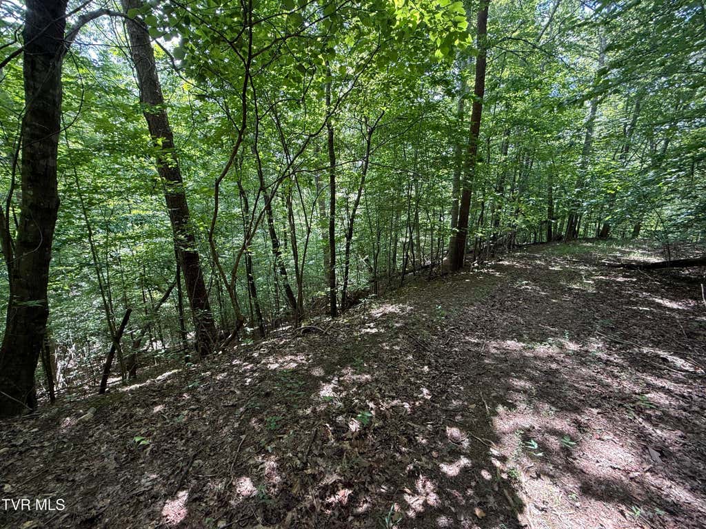 Photo of Tbd Mossy Hollow Road, Baneberry, TN 37890 (MLS # 9999349)