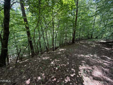 Photo of Tbd Mossy Hollow Road, Baneberry, TN 37890 (MLS # 9999349)