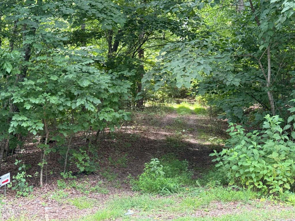 Photo of Tbd Mossy Hollow Road, Baneberry, TN 37890 (MLS # 9999349)