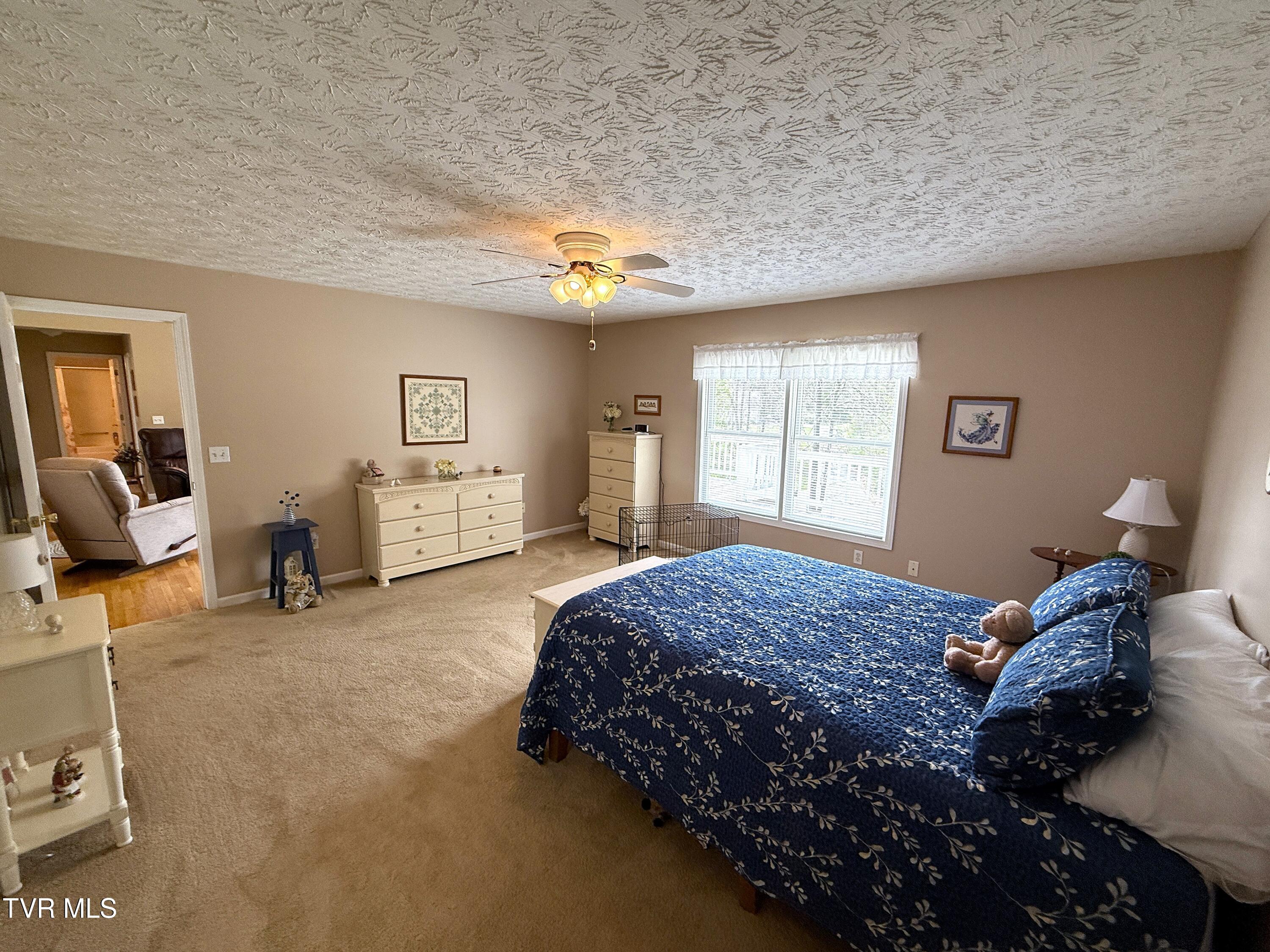 1038 Autumn Leaf Drive, Newport, Tennessee image 12