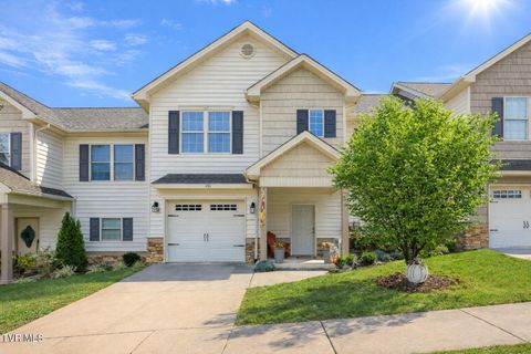 Photo of 281 Baileigh Lyn Loop #A-3, Jonesborough, TN 37659 (MLS # 9990226)