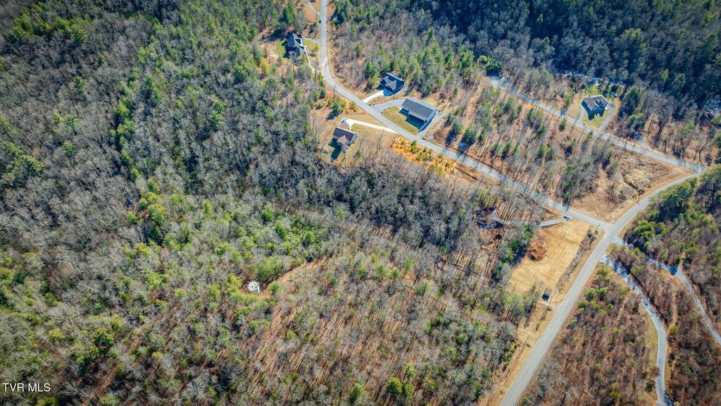 Photo of Tbd Sciota Road, Unicoi, TN 37692 (MLS # 9990488)