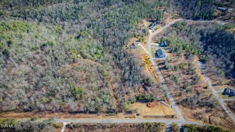 Vacant Land For Sale - TBD Sciota Road<br/> Unicoi County, Unicoi, TN 37692