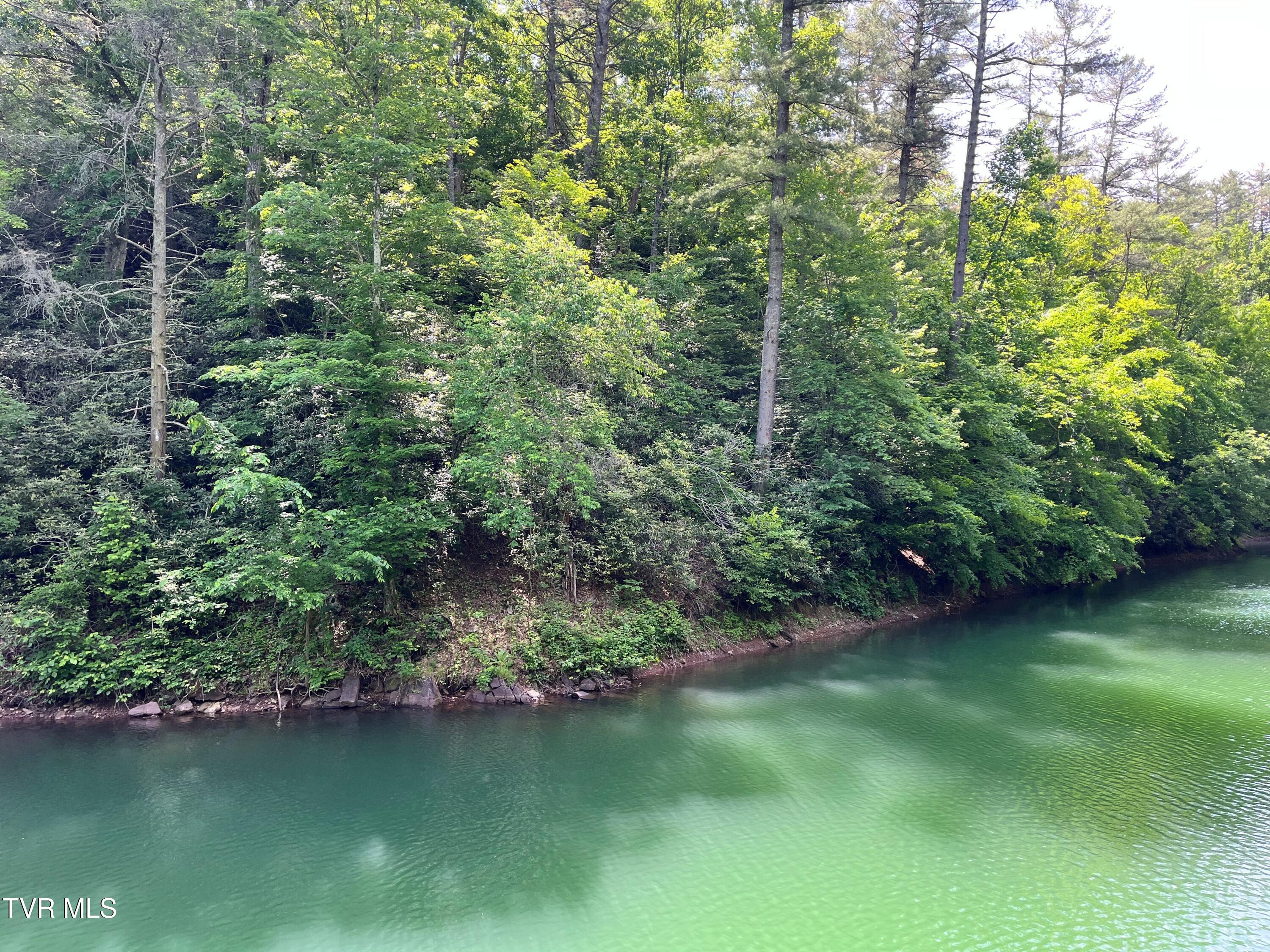 Tr1 Smith Hollow