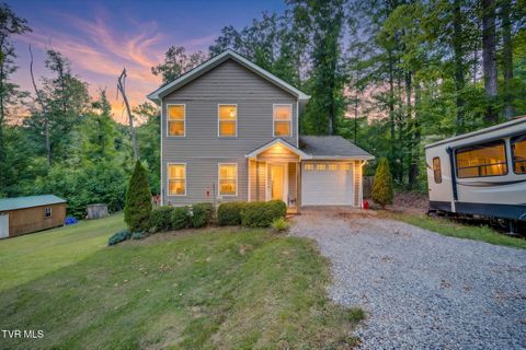 Photo of 236 Allenwood Drive, Surgoinsville, TN 37873 (MLS # 9996386)