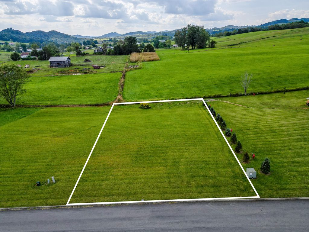 Photo of 42 Walnut Grove Drive, Church Hill, TN 37642 (MLS # 9991383)