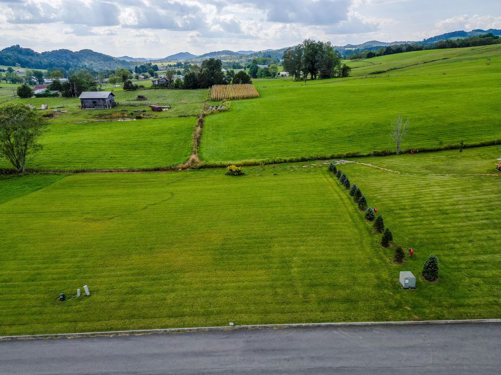 Photo of 42 Walnut Grove Drive, Church Hill, TN 37642 (MLS # 9991383)