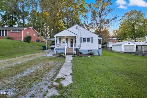 Photo of 223 Forest Hills Drive, Greeneville, TN 37745 (MLS # 9987095)