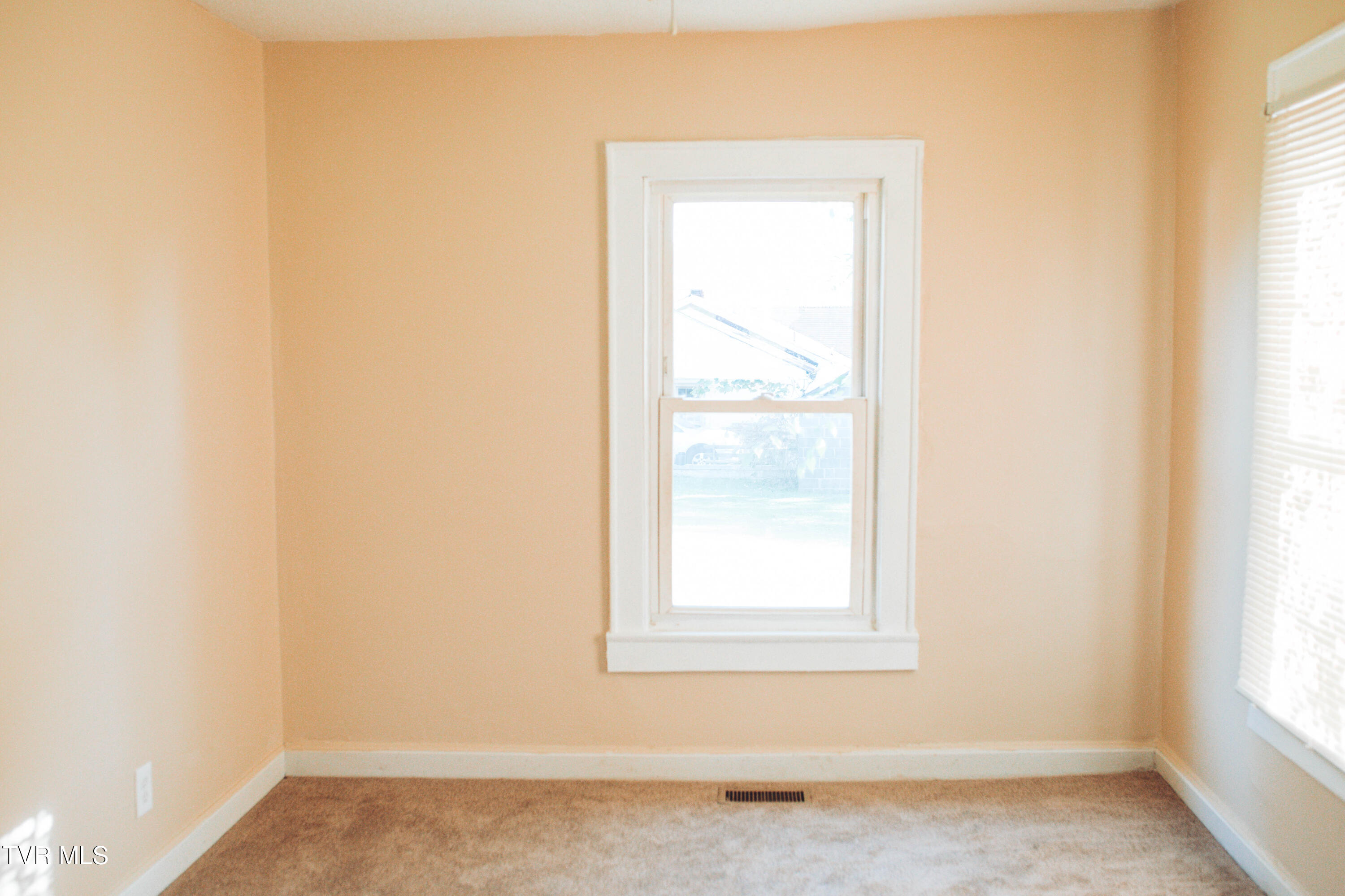207 Dover Avenue, Mount Carmel, Tennessee image 3