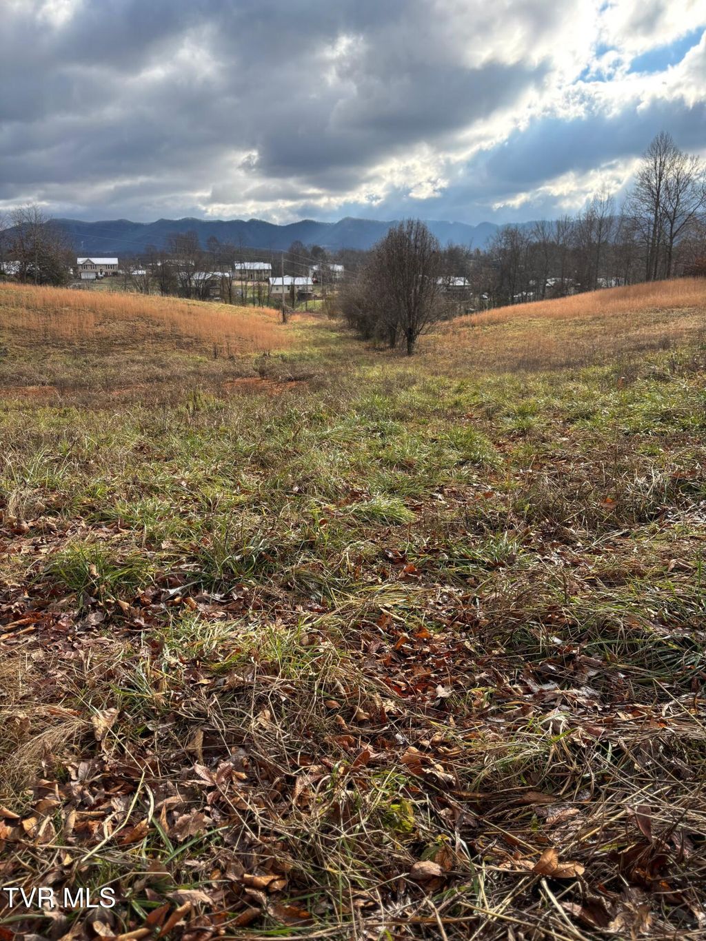 Photo of 130 Taylor Road, Jonesborough, TN 37659 (MLS # 9989177)