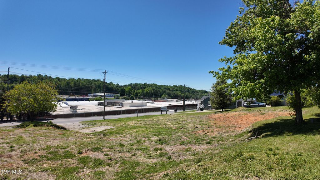 Photo of 315 Bernard Avenue, Greeneville, TN 37745 (MLS # 9994854)