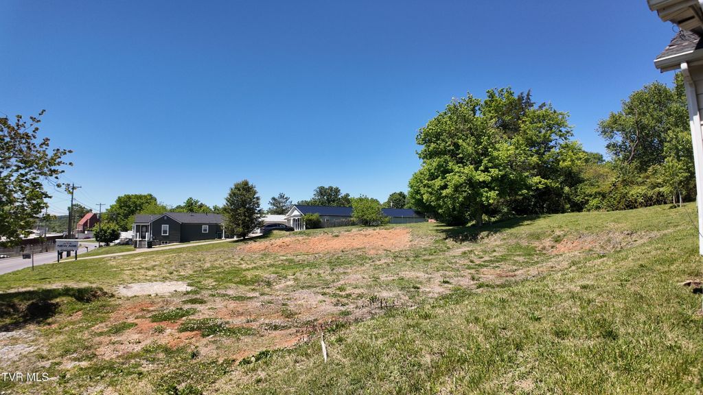 Photo of 315 Bernard Avenue, Greeneville, TN 37745 (MLS # 9994854)
