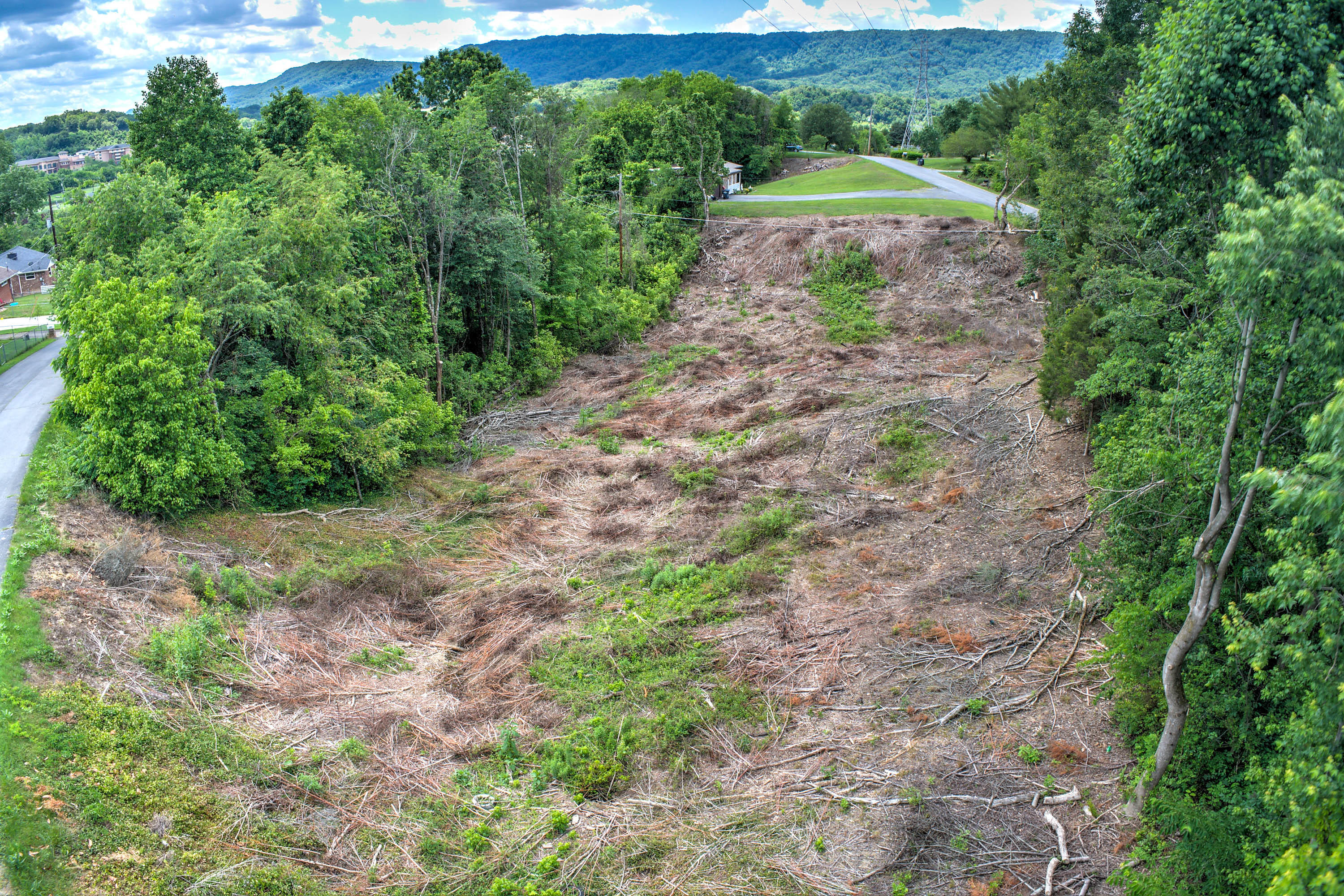 Tbd Whispering Hill/sedgefield Drive, Kingsport, Tennessee image 20