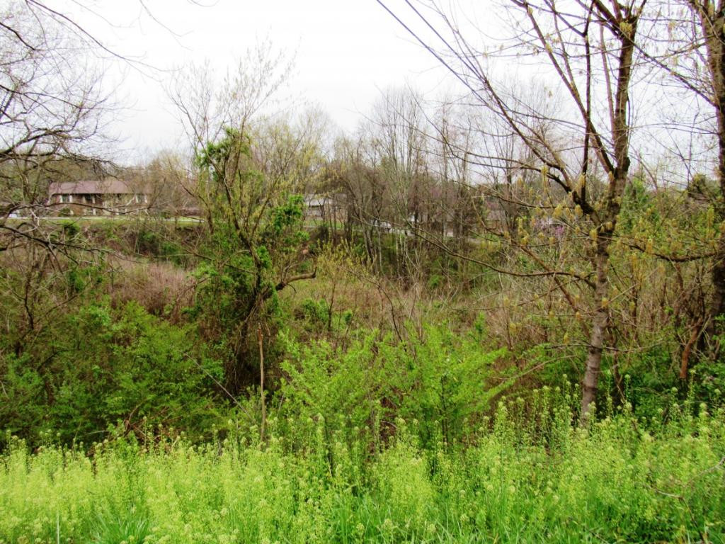 Tbd Whispering Hill/sedgefield Drive, Kingsport, Tennessee image 2