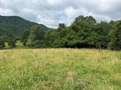 Vacant Land For Sale - 0 Trent Valley<br/> Sneedville, TN 37869
