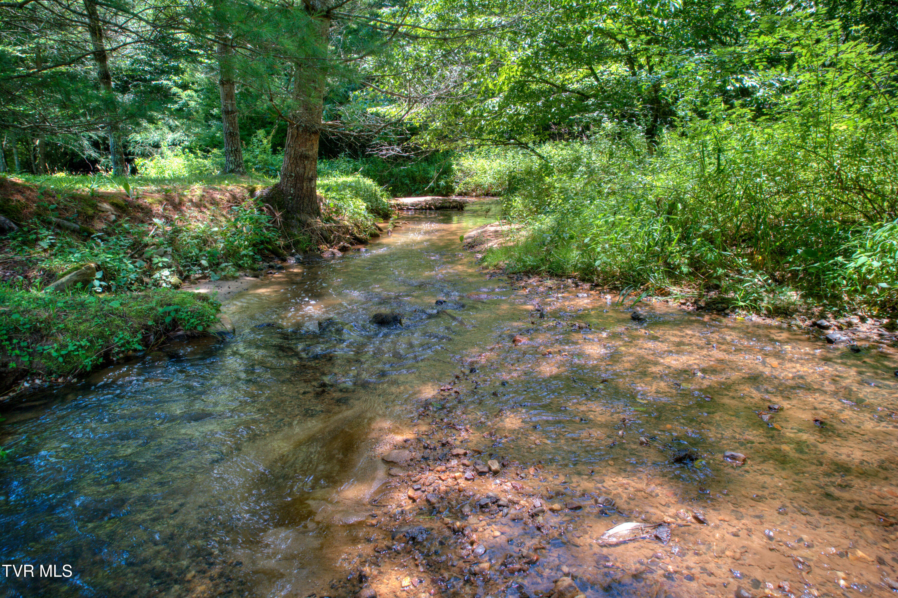 565 Piney Grove Road, Hampton, Tennessee image 39