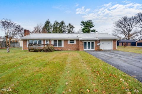 Photo of 121 Vines Drive, Jonesborough, TN 37659 (MLS # 9989074)