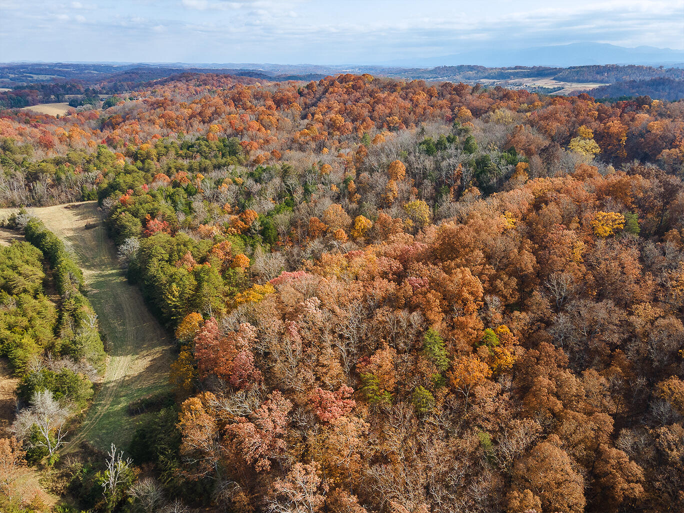 Tbd Sinking Creek Rd, Parrottsville, Tennessee image 16