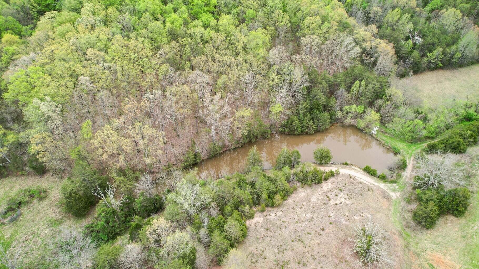 Tbd Sinking Creek Rd, Parrottsville, Tennessee image 7
