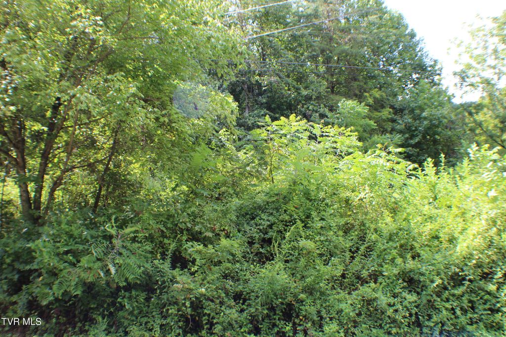 Photo of 0 Early Branch Road, Rogersville, TN 37857 (MLS # 9984497)