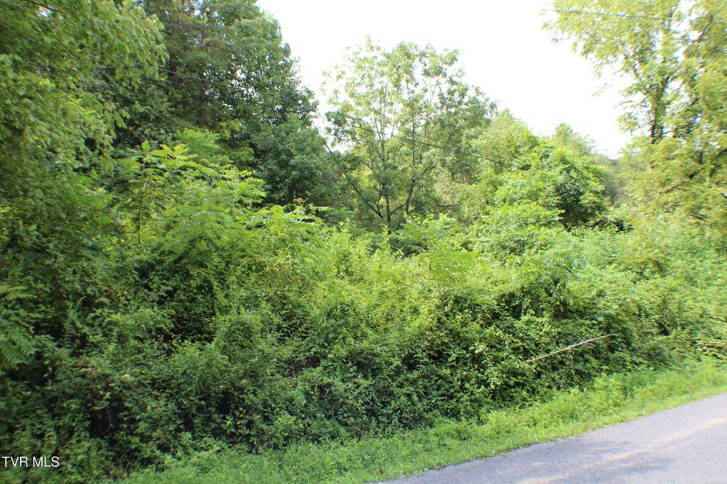 Photo of 0 Early Branch Road, Rogersville, TN 37857 (MLS # 9984497)