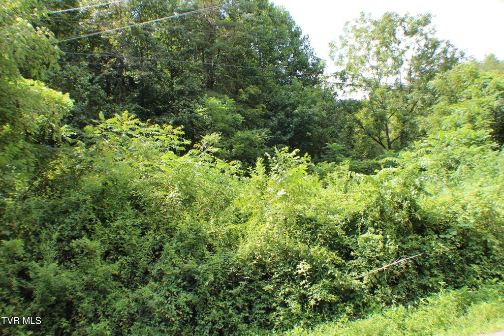 Photo of 0 Early Branch Road, Rogersville, TN 37857 (MLS # 9984497)