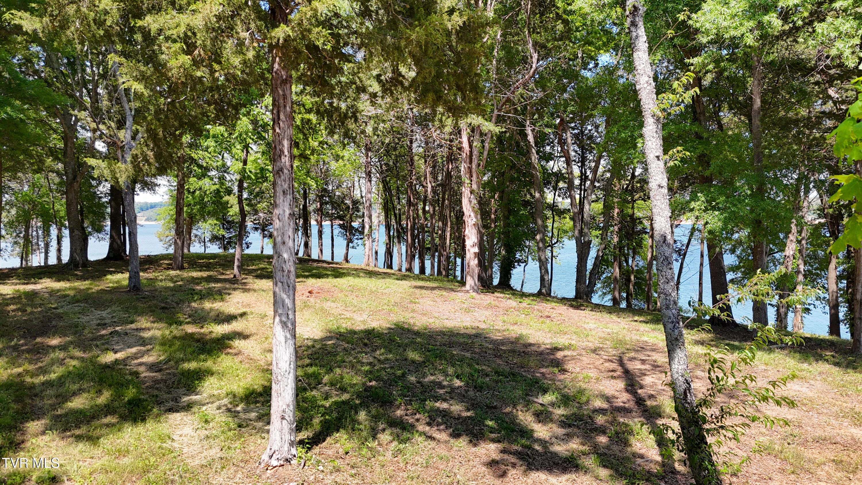 Lot 123 Rdg Pt Trail