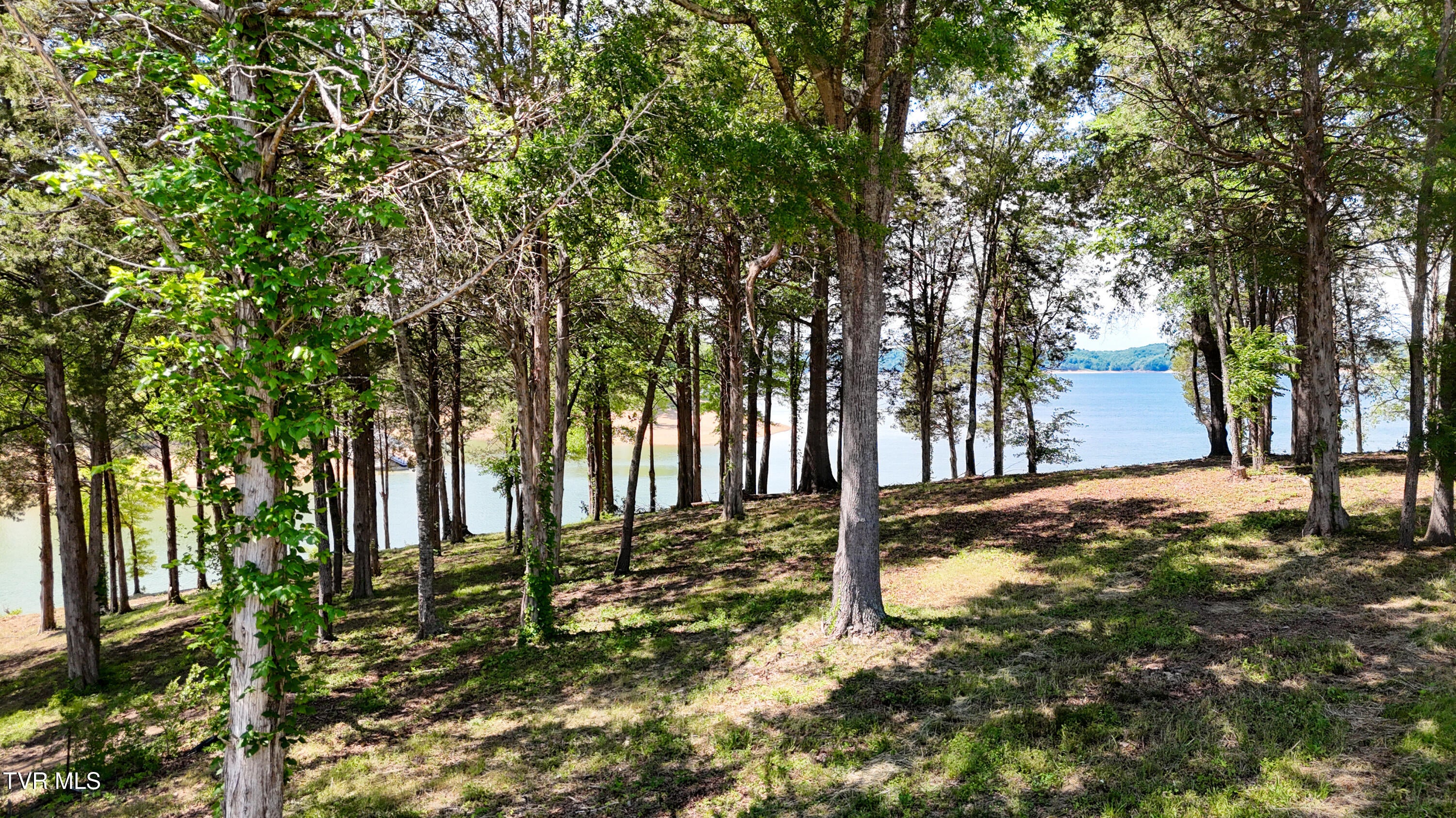 Lot 123 Rdg Pt Trail