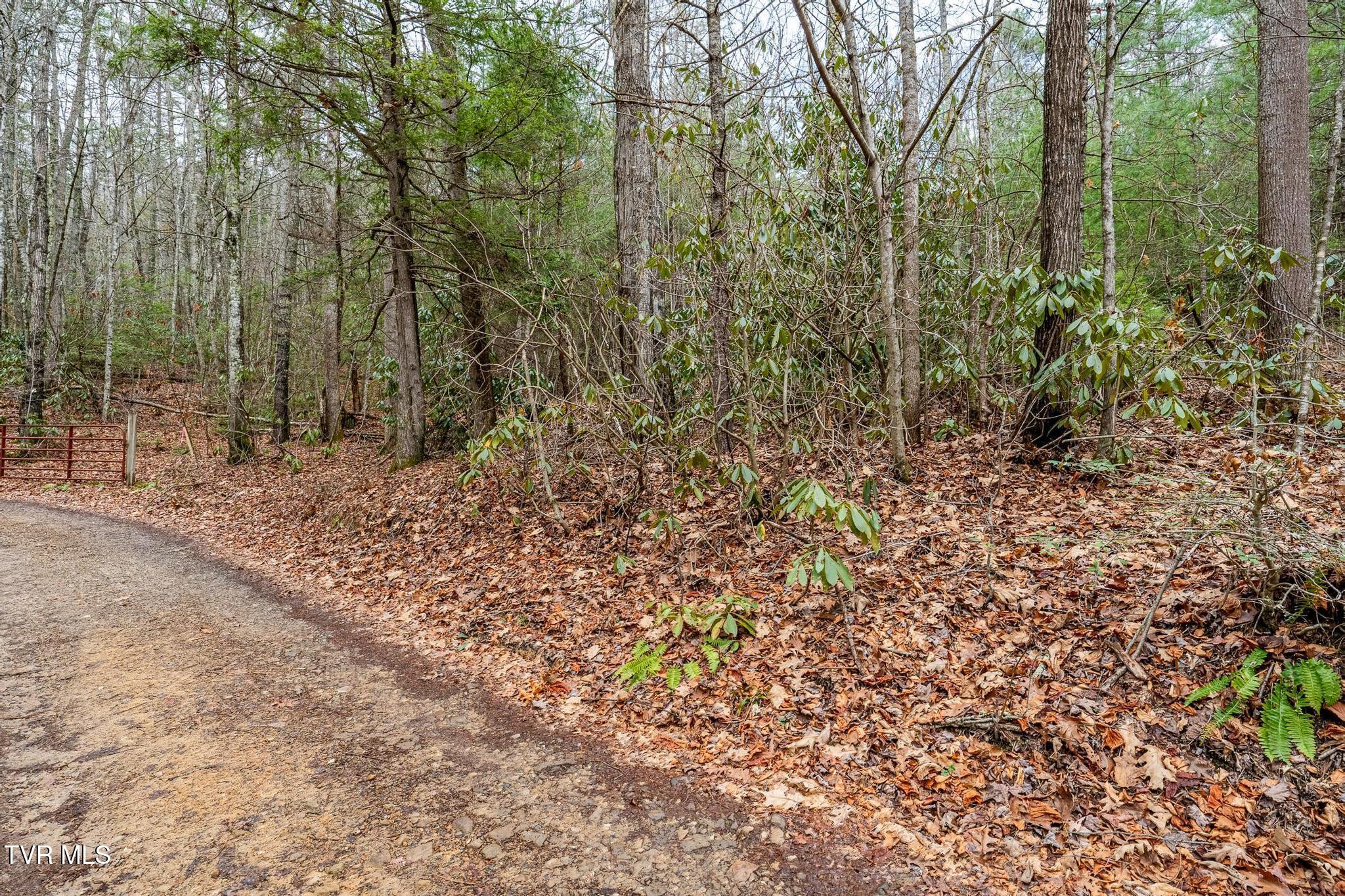 Tbd Rocky Knob Road, Mountain City, Tennessee image 21