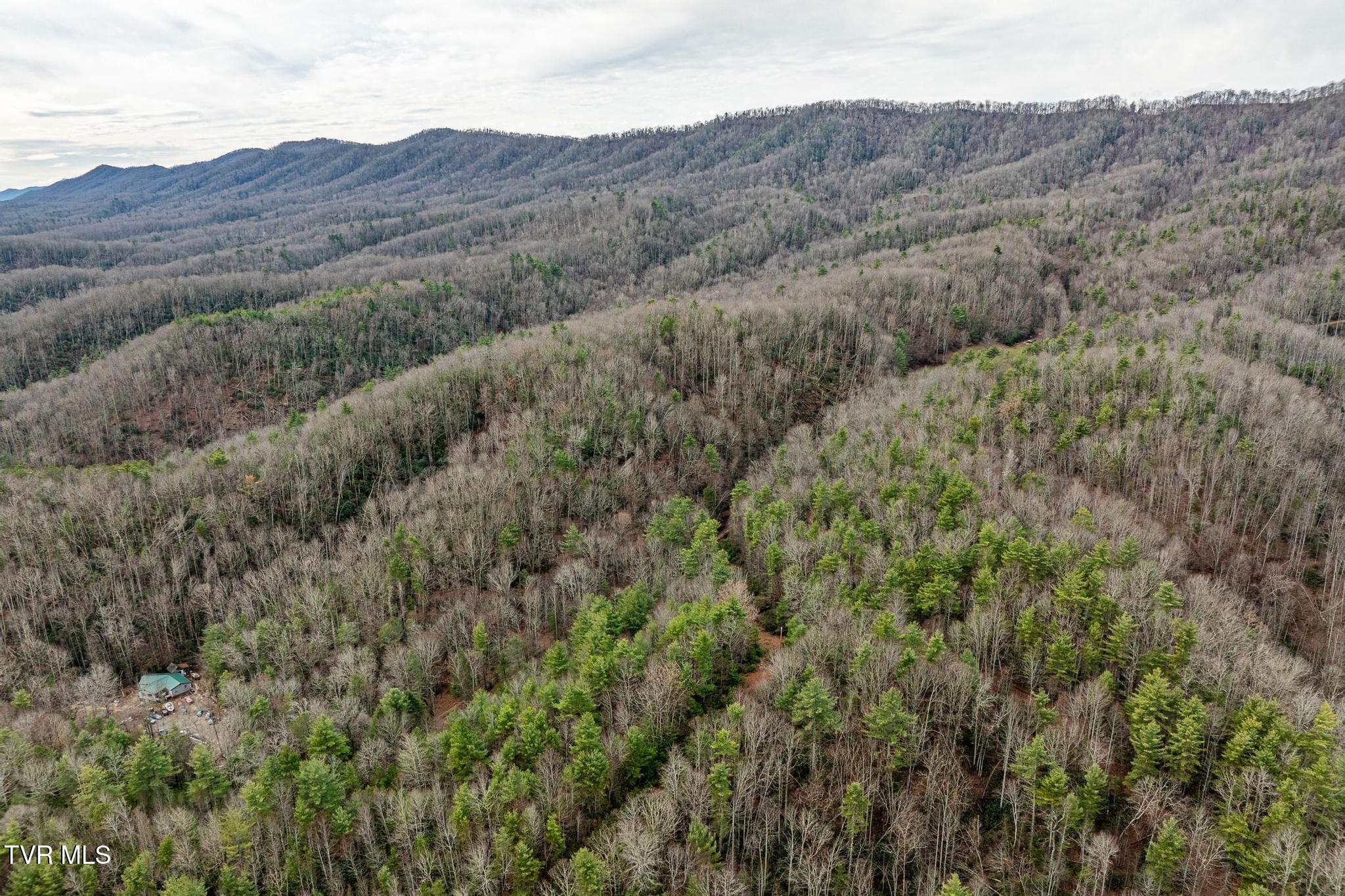 Tbd Rocky Knob Road, Mountain City, Tennessee image 6