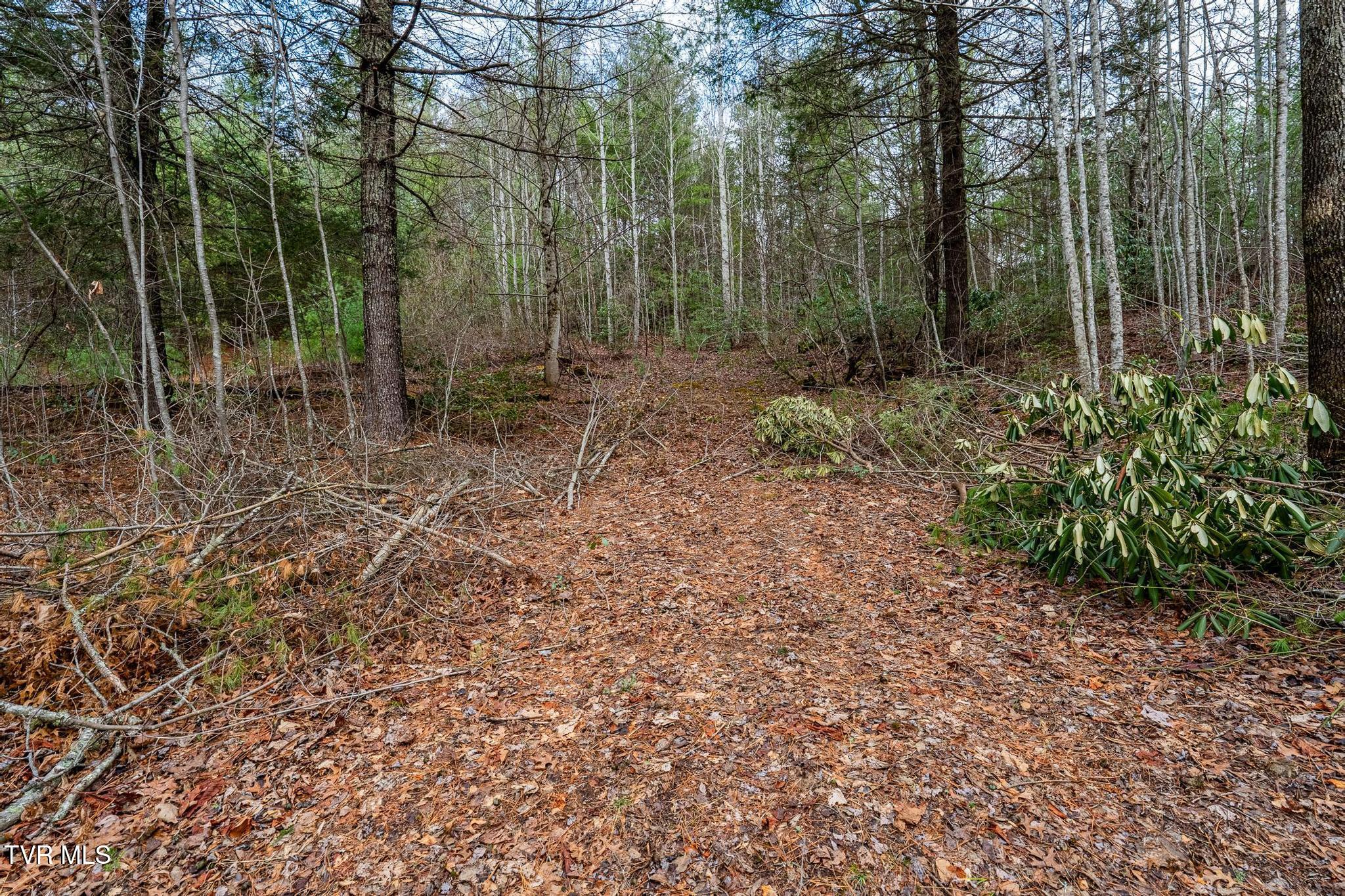 Tbd Rocky Knob Road, Mountain City, Tennessee image 14