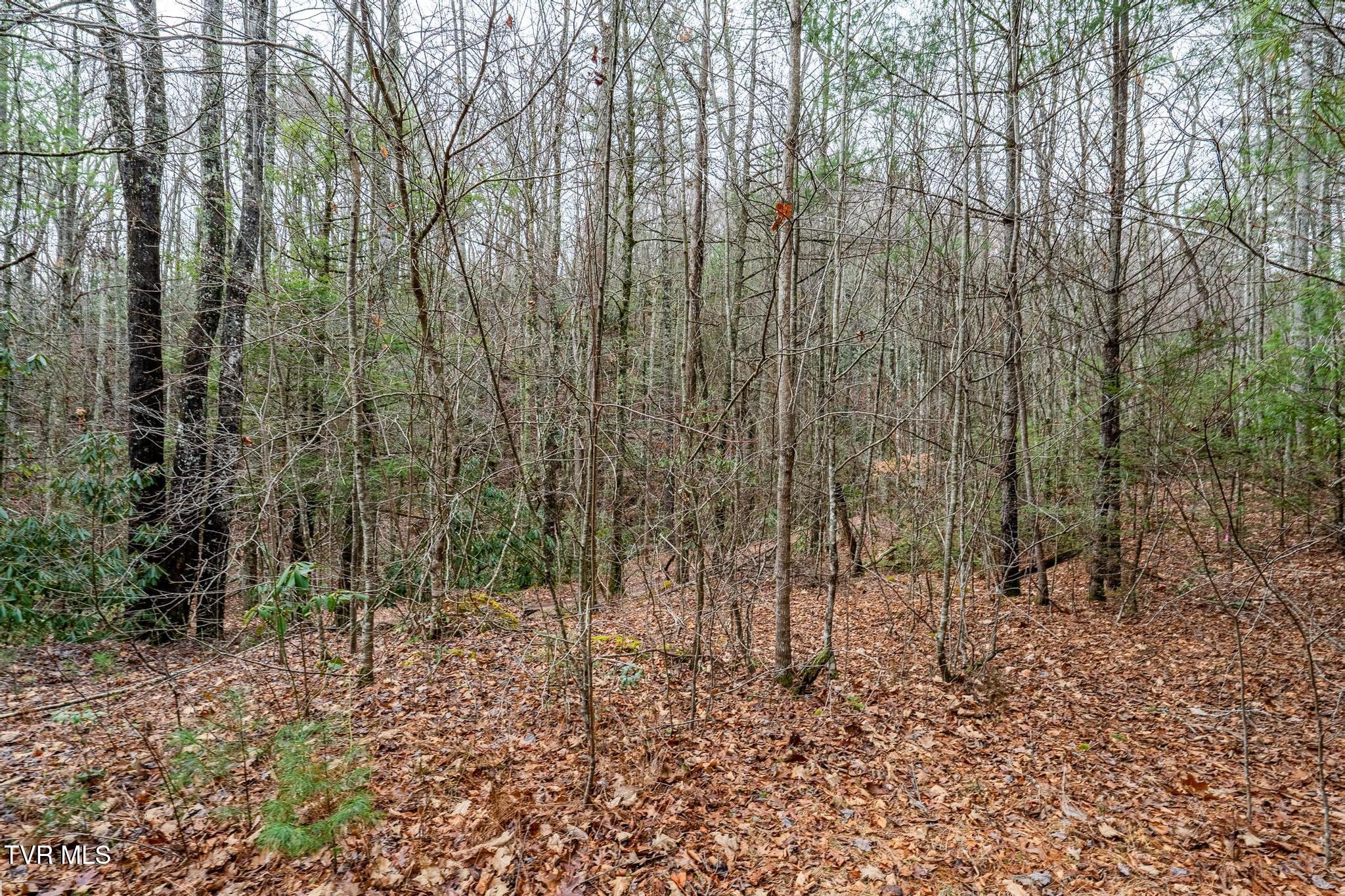 Tbd Rocky Knob Road, Mountain City, Tennessee image 20