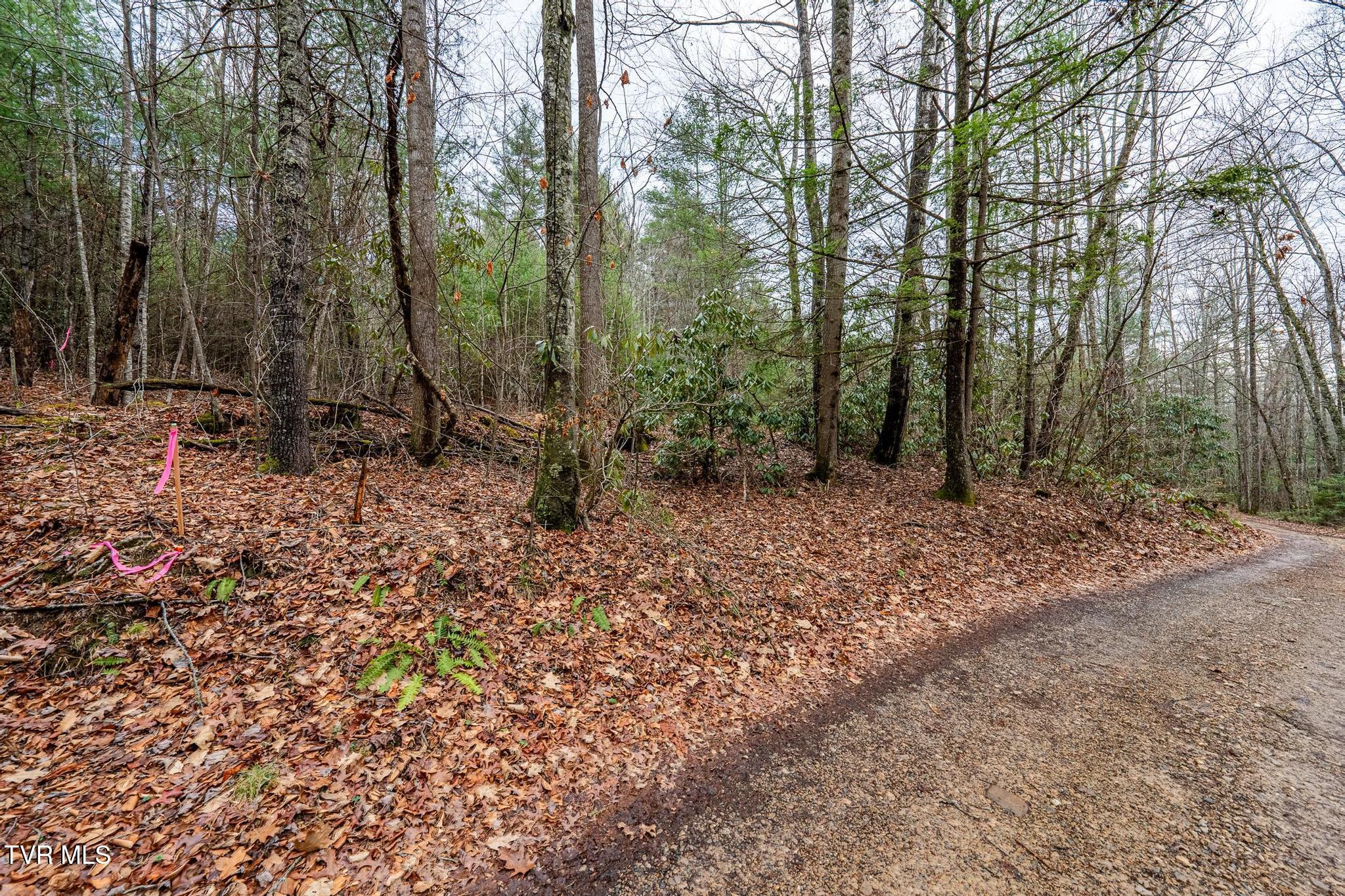 Tbd Rocky Knob Road, Mountain City, Tennessee image 23