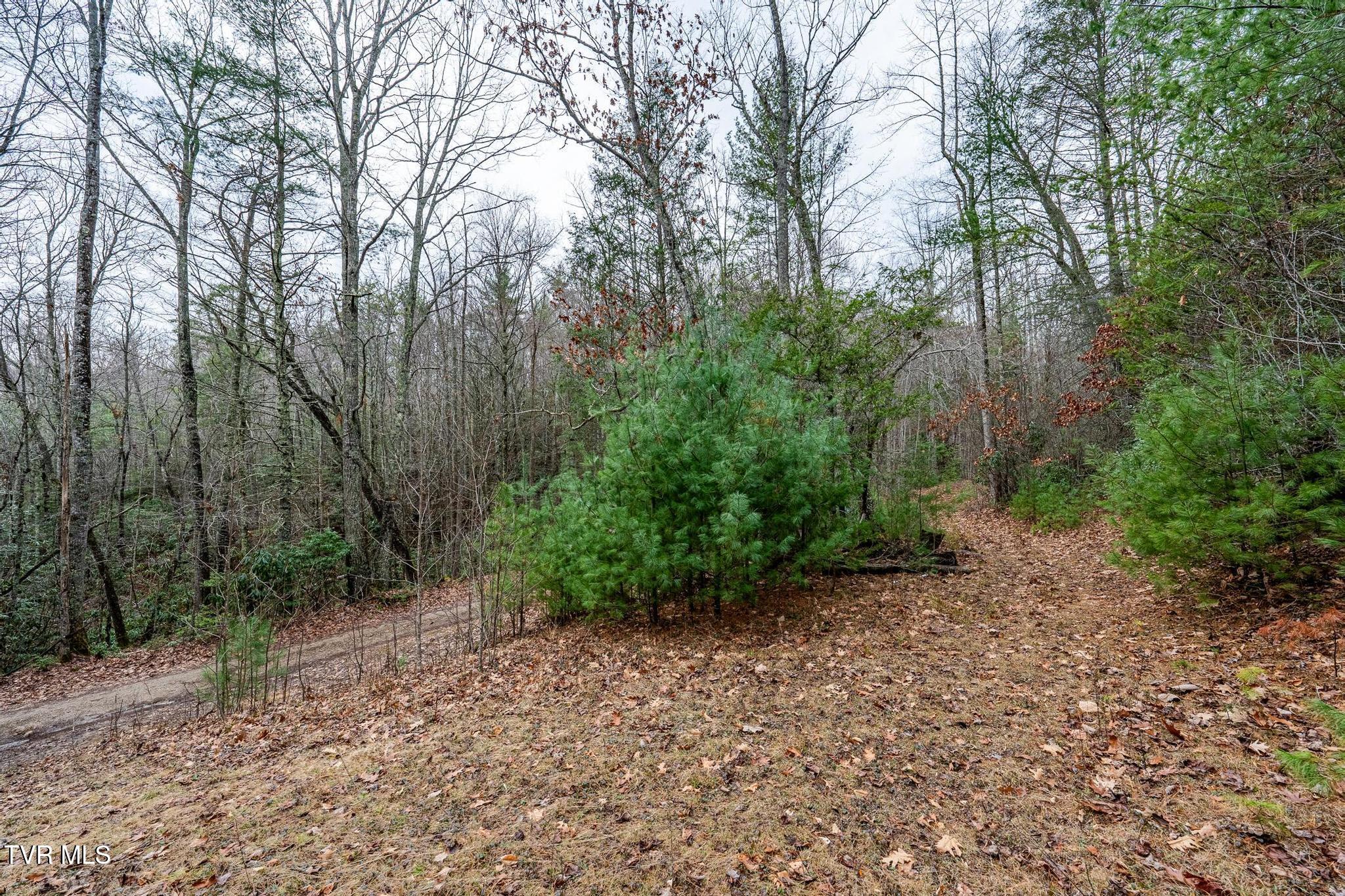 Tbd Rocky Knob Road, Mountain City, Tennessee image 16