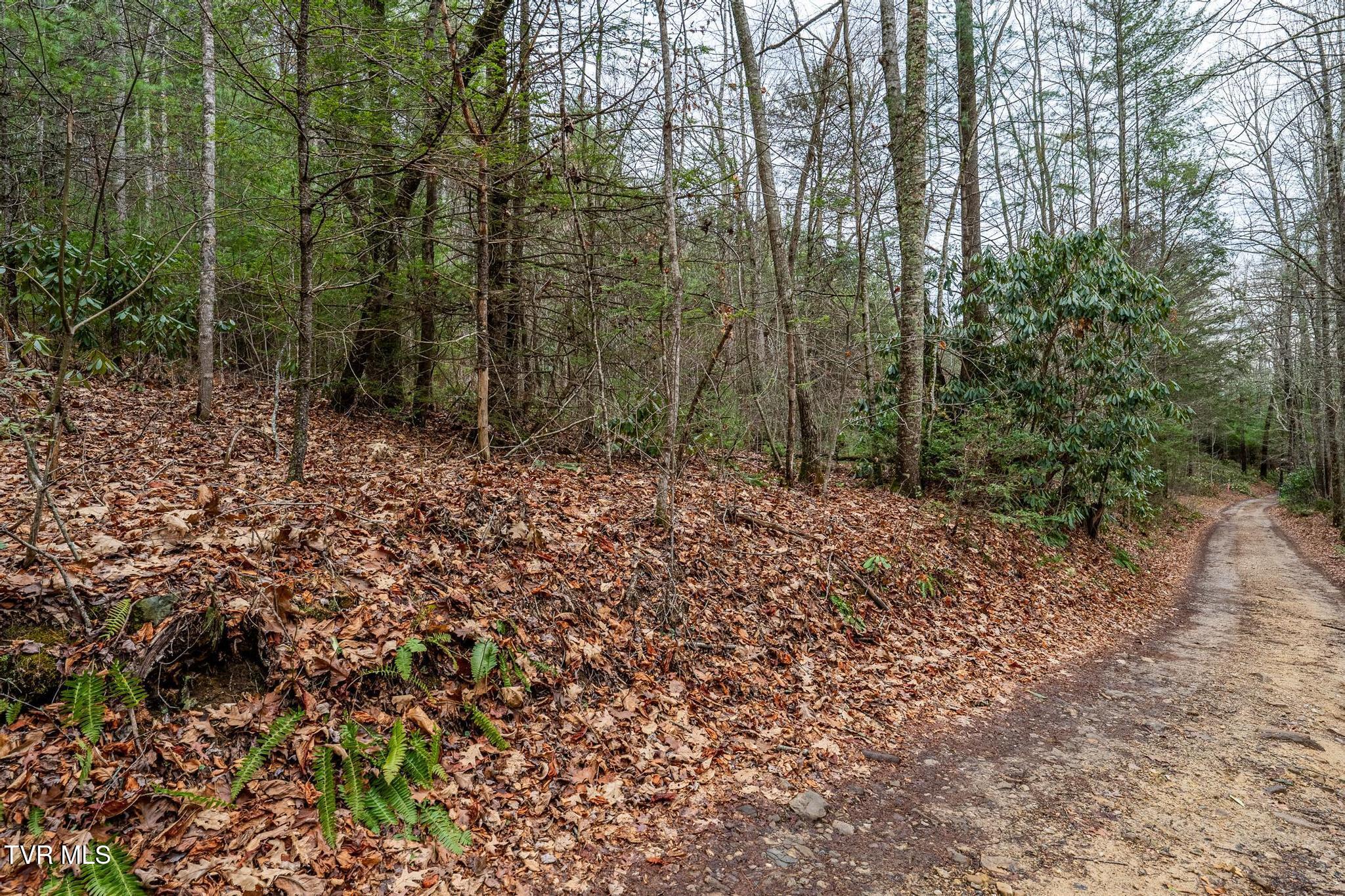 Tbd Rocky Knob Road, Mountain City, Tennessee image 22