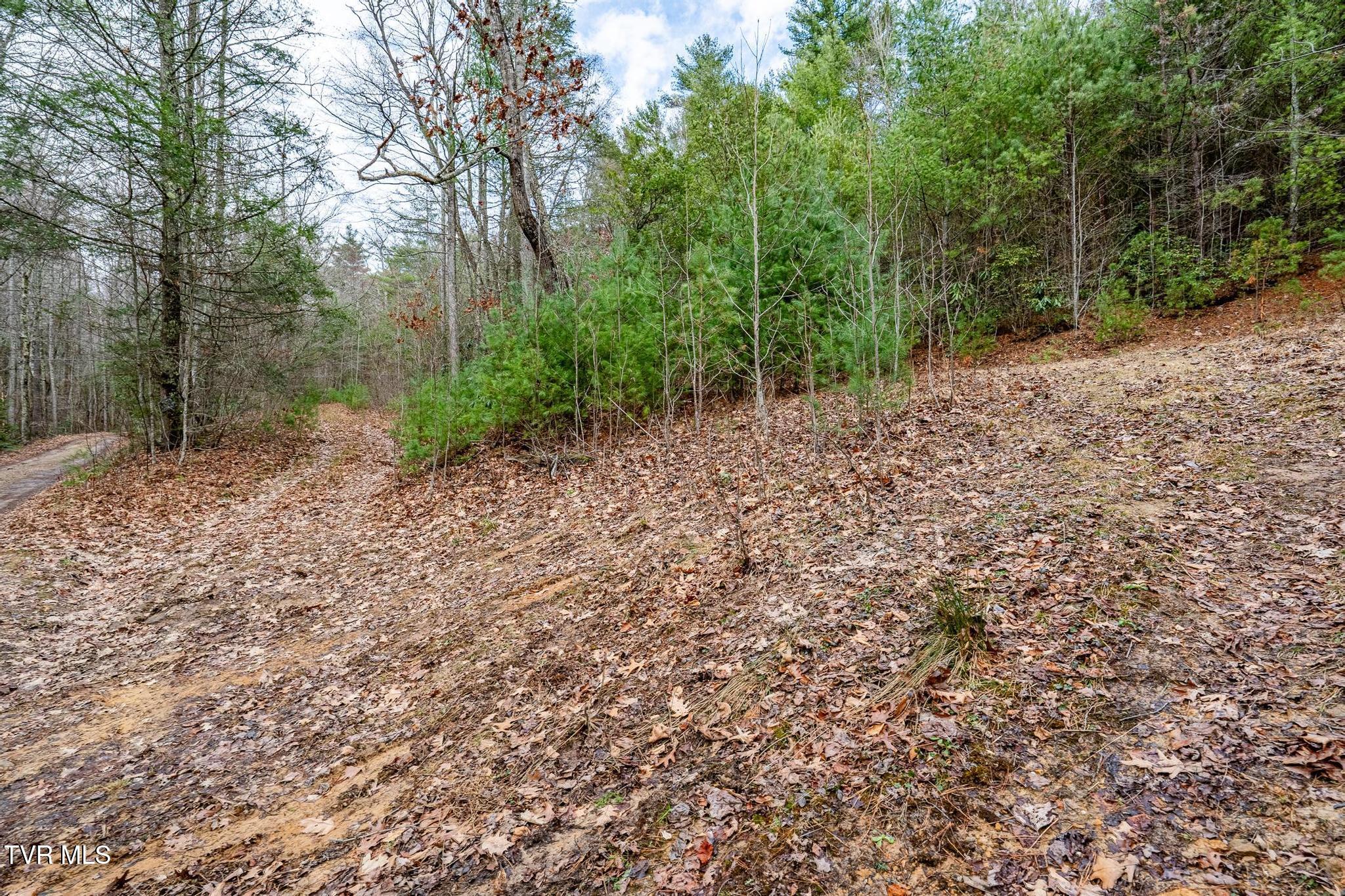Tbd Rocky Knob Road, Mountain City, Tennessee image 15