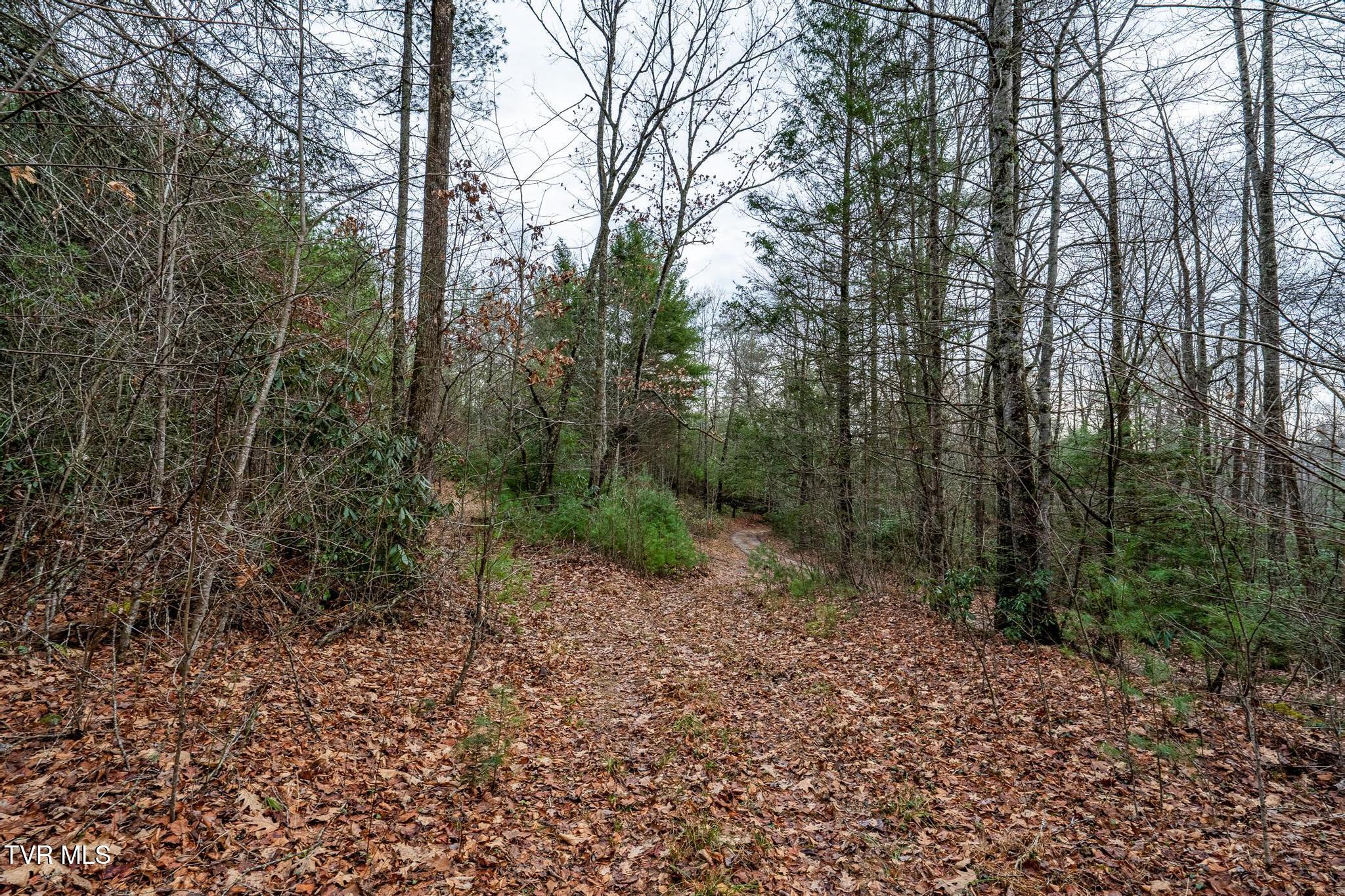 Tbd Rocky Knob Road, Mountain City, Tennessee image 18