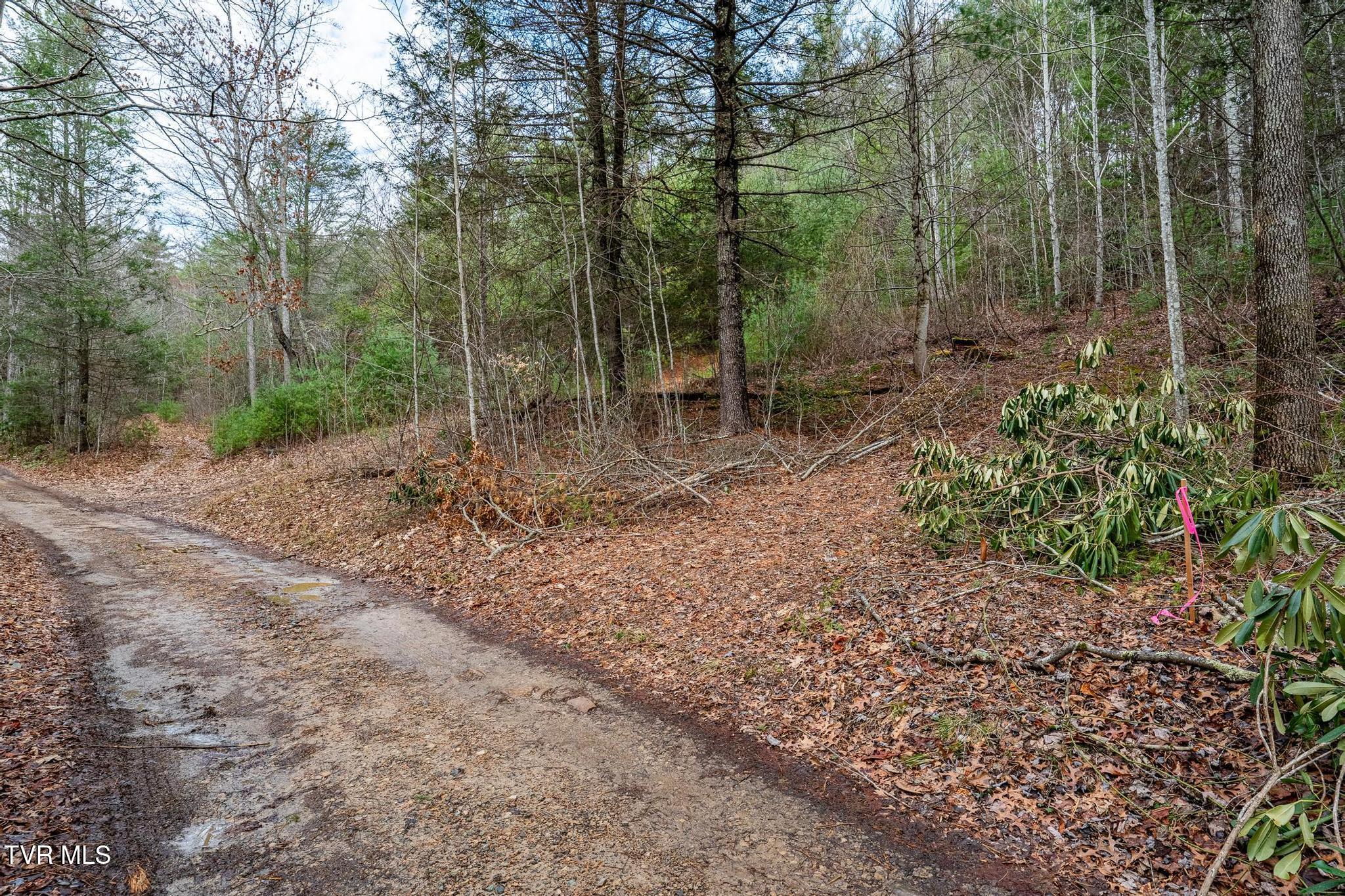 Tbd Rocky Knob Road, Mountain City, Tennessee image 13