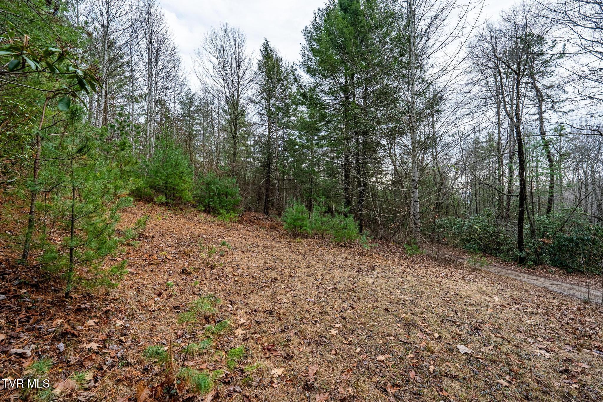 Tbd Rocky Knob Road, Mountain City, Tennessee image 17