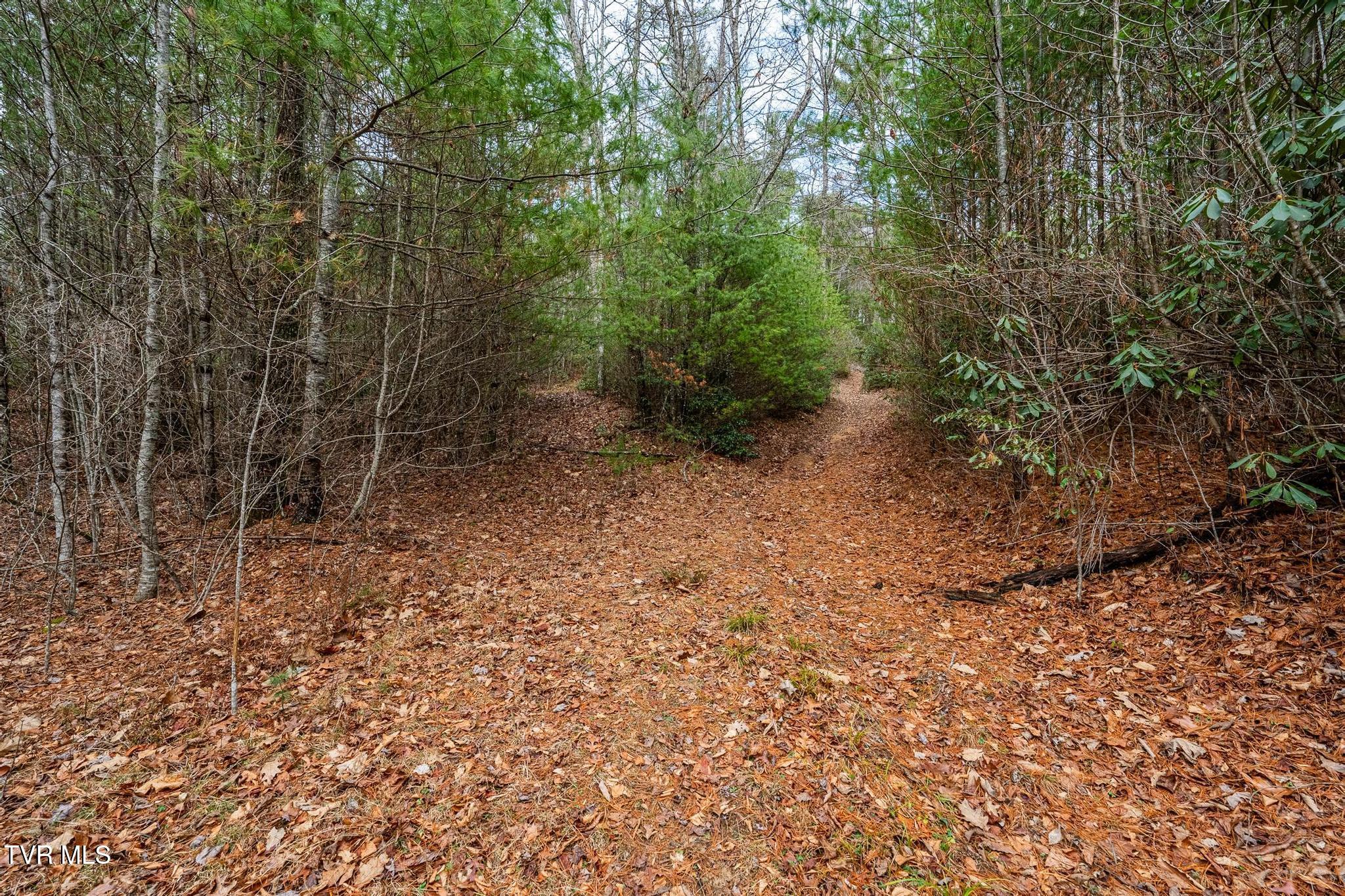 Tbd Rocky Knob Road, Mountain City, Tennessee image 19