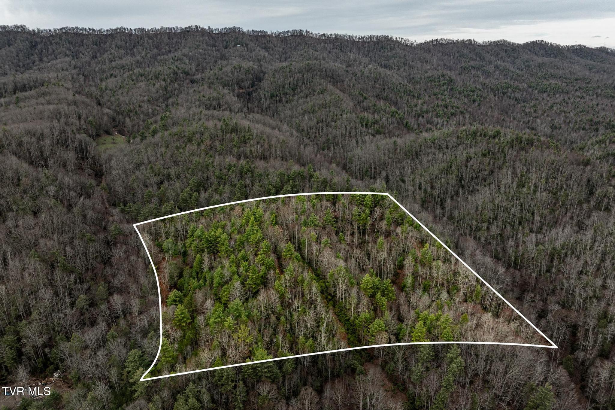 Tbd Rocky Knob Road, Mountain City, Tennessee image 3