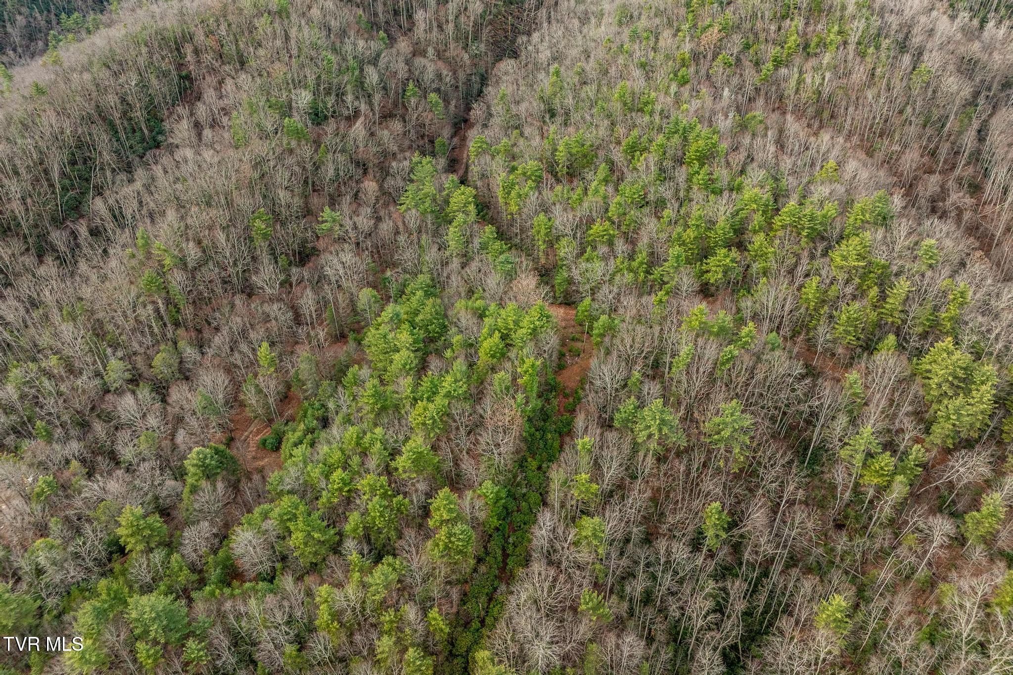 Tbd Rocky Knob Road, Mountain City, Tennessee image 12