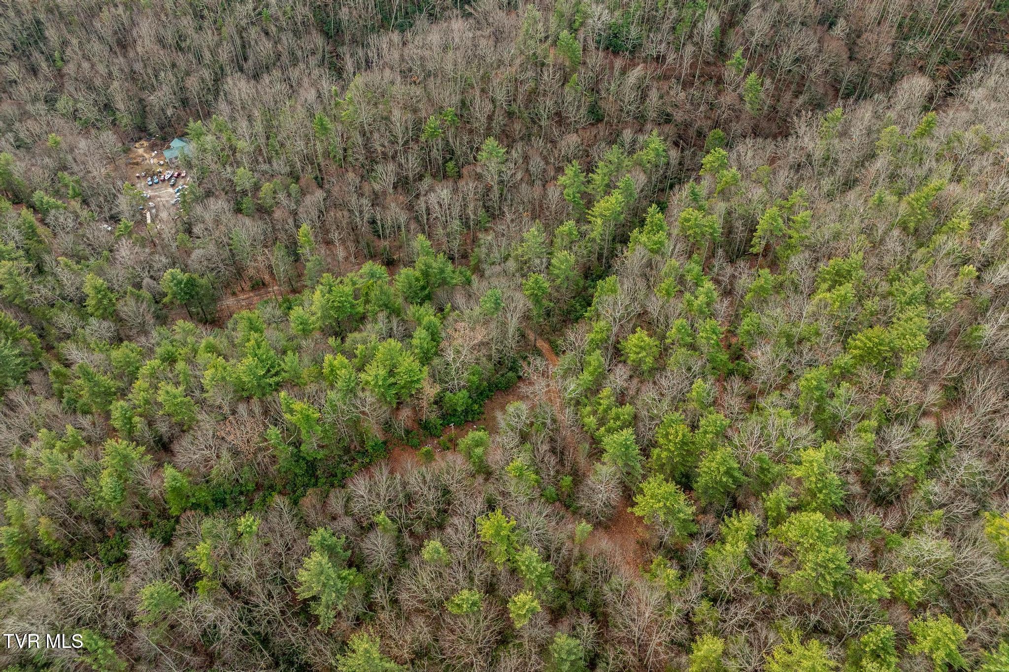 Tbd Rocky Knob Road, Mountain City, Tennessee image 11