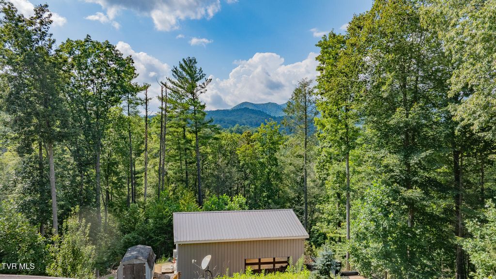 Photo of 240 Little Branch Road, Flag Pond, TN 37657 (MLS # 9984784)